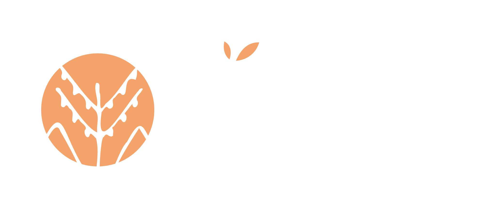 Körperelle